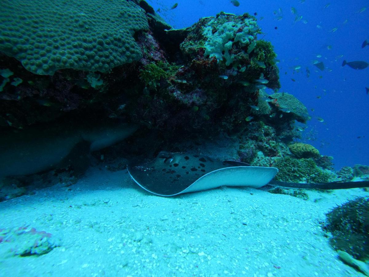 Coral Beach Maldives Hangnaameedhoo Dış mekan fotoğraf